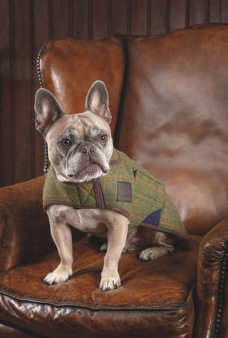 Digby & Fox Tweed Dog Coat Green Check