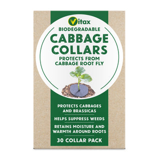 Vitax Cabbage Collars