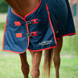 Gallop Trojan 200g Turnout Rug