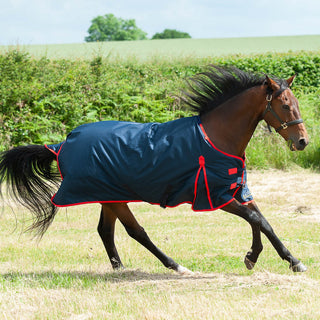 Gallop Trojan 200g Turnout Rug