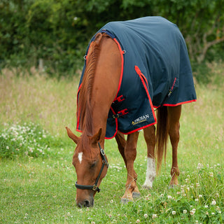 Gallop Trojan 200g Turnout Rug