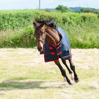 Gallop Trojan 200g Turnout Rug