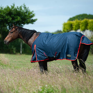 Gallop Trojan 200g Turnout Rug