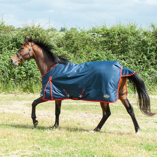 Gallop Trojan 200g Turnout Rug