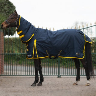 Gallop Trojan 200g Combo Turnout Rug