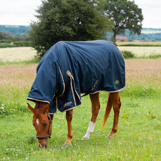 Gallop Trojan 100g Combo Turnout Rug