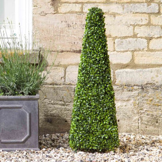 Smart Boxwood Topiary Obelisk