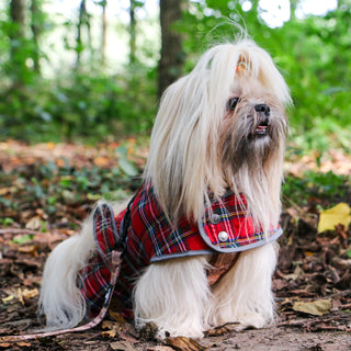 Ancol Highland Tartan Dog Coat