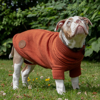 Cable Knit Jumper Terracotta