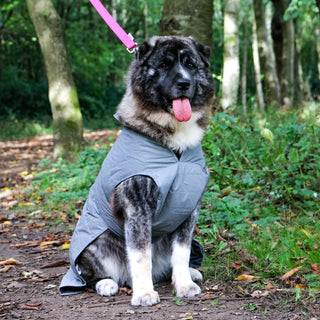 Ultimate Reflective Dog Coat