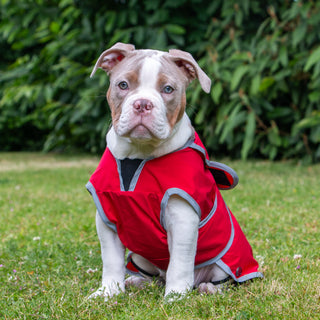 Stormguard Soft Shell Coat Bordeaux