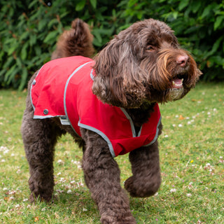 Stormguard Soft Shell Coat Bordeaux