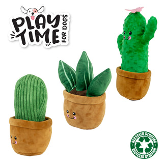 Cactus Toy