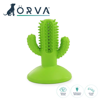 Cactus Toothbrush 17cm