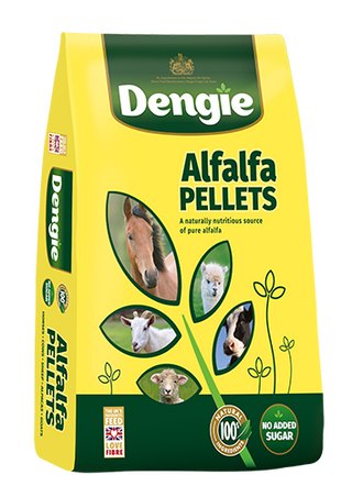 Dengie Alfalfa Pellets 20kg