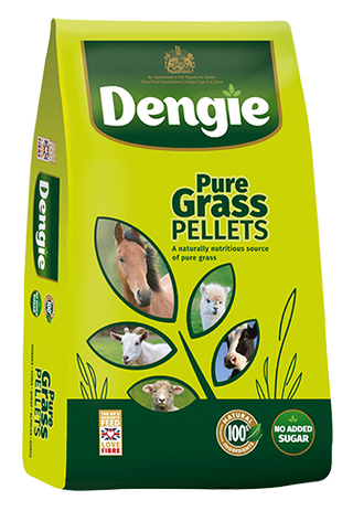 Dengie Pure Grass Pellets 20kg