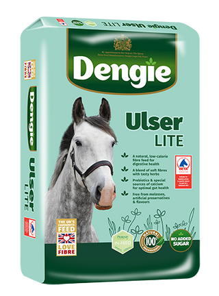 Dengie Ulser Lite 20kg