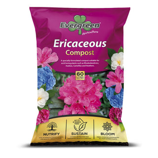 Evergreen Ericaceous Compost 40L