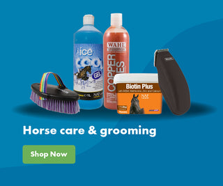 Horse Care & Grooming