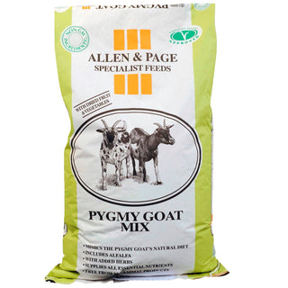 Smallholder Range Pygmy Goat Mix