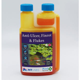 Nt Labs Bacterad - Anti-Ulcer Finrot & Fluke