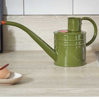 Home and Balcony Watering Can