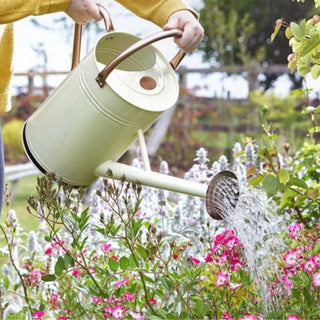 Smart Garden Watering Can