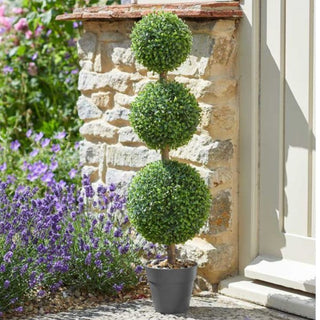 Trio Topiary Tree