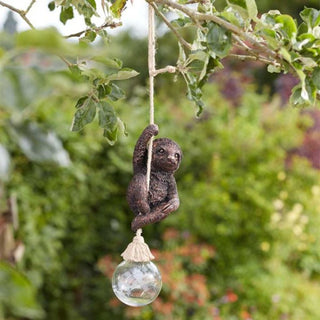 Swingin' Sloth!