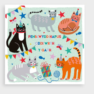 From The Cat Greetings Card