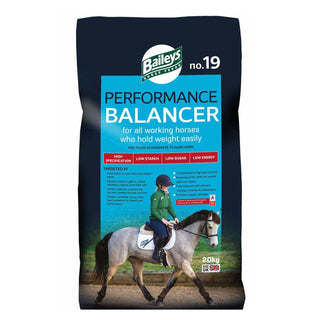 Baileys No. 19 Performance Balancer