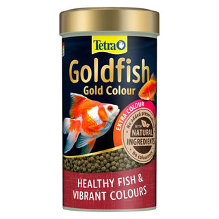 Tetra Goldfish Gold Colour