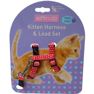 Hemmo & Co Spotty Kitten Harness Lead Set