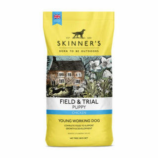 Skinner's Field & Trial Puppy