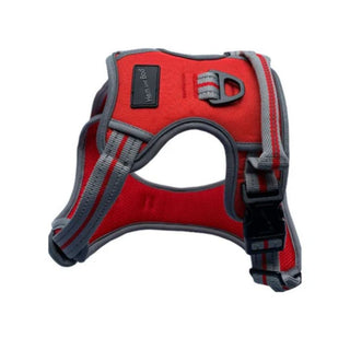 Sports Harness