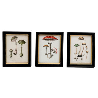 Fungi Framed Wall Art Print