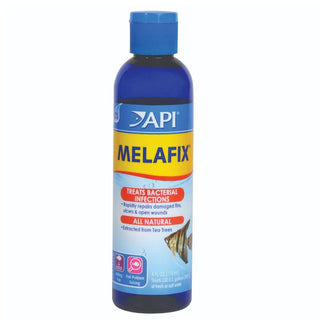 Api Melafix