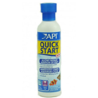 Api Quick Start