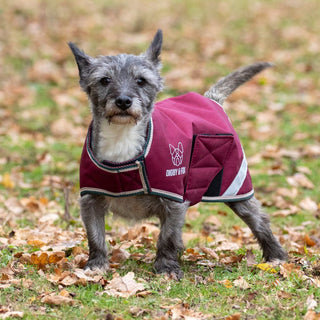 Digby & Fox Waterproof Dog Coat Burgundy