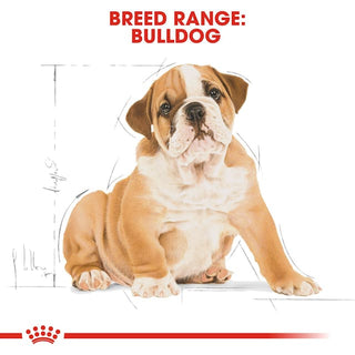 Royal Canin Breed Nutrition Bulldog Puppy