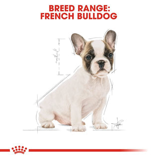 Royal Canin Breed Nutrition French Bulldog Puppy