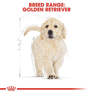 Royal Canin Breed Nutrition Golden Retriever Puppy