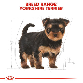 Royal Canin Breed Nutrition Yorkshire Terrier Puppy