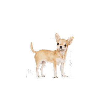 Royal Canin Breed Nutrition Chihuahua Adult