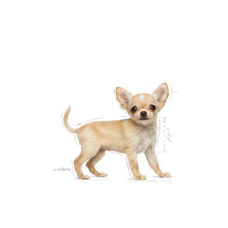 Royal Canin Breed Nutrition Chihuahua Puppy