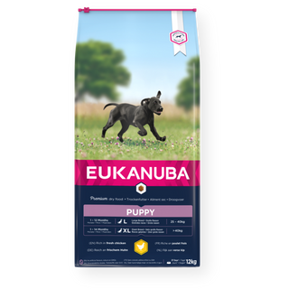 Eukanuba Growing Puppy Large Breed Chicken