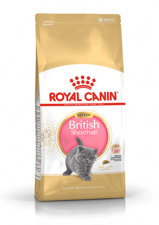 Royal Canin Feline Breed British Shorthair Kitten