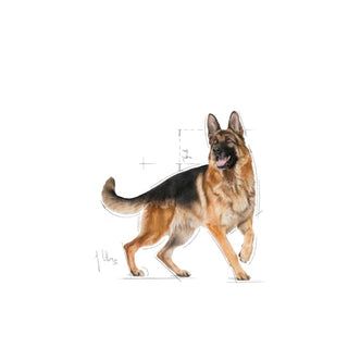 Royal Canin Breed Nutrition German Shepherd Adult