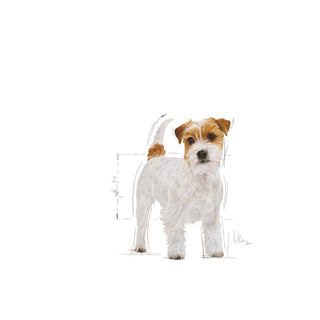 Royal Canin Breed Nutrition Jack Russell Terrier Adult