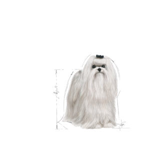 Royal Canin Breed Nutrition Maltese Adult